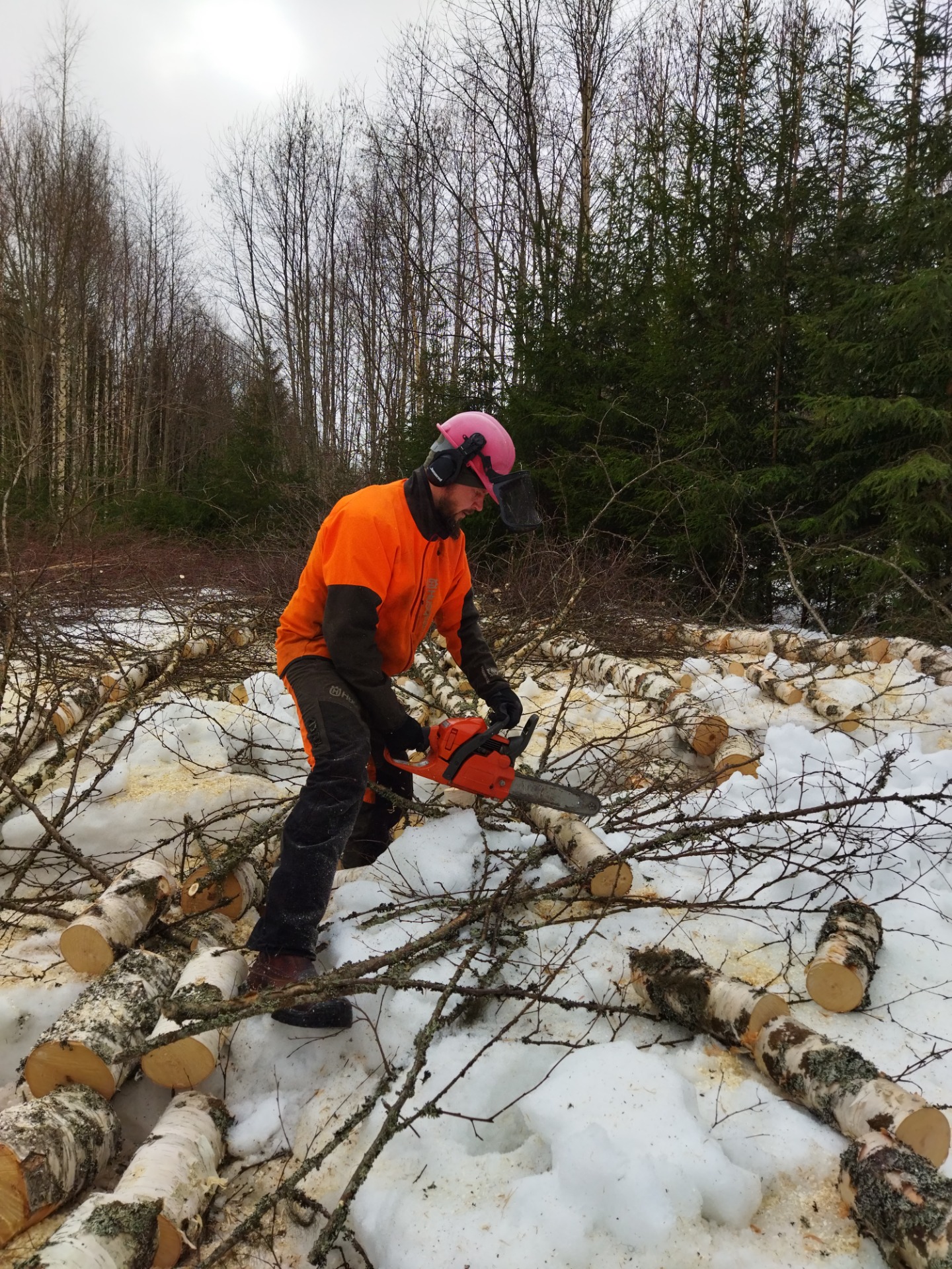 Metsänhoitopalvelut Kitee